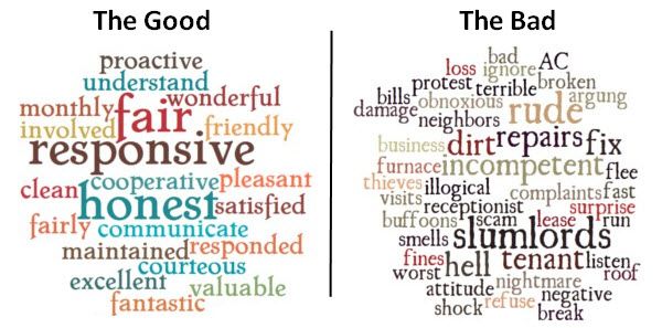 The following word clouds are comprised of actual words and phrases from the 3,000 reviews we surveyed.